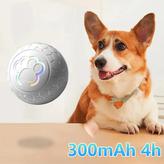 New Smart Dog Toy Ball Electronic Interactive Pet Toy Ball USB Automatic Bouncing Rolling Toy Ball With RGB Lights Puppy Product